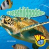 Zeeschildpadden door Judy Wearing