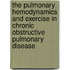 The pulmonary hemodynamics and exercise in chronic obstructive pulmonary disease
