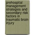 Prehospital management strategies and secondary risk factors in traumatic brain injury