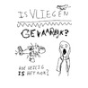 Is vliegen gevaarlijker dan je denkt? by Willem de Kleynen