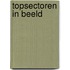 Topsectoren in beeld