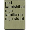 POD Kamishibai mijn familie en mijn straat door Ann De Bode