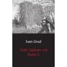 Irish het geheim v/d ruine by Ivan Grud