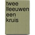 Twee Lleeuwen een kruis