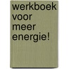 Werkboek voor meer energie! door Femke de Grijs