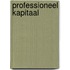 Professioneel Kapitaal