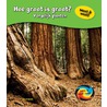Hoe groot is groot? door Vic Parker