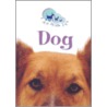 Dog door Matthew Rayner