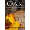 Oak door Claudio Aleixo Chuteira