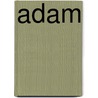 Adam by Andrea Semadeni