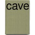 Cave