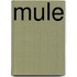 Mule