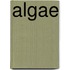 Algae