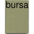 Bursa