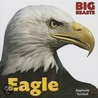 Eagle by Stephanie Turnball