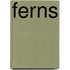 Ferns
