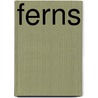 Ferns by Edward Joseph Lowe