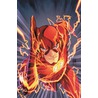 Flash door Francis Manapul