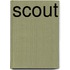 Scout
