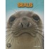 Seals