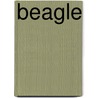 Beagle by Jinny Johnson