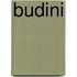 Budini