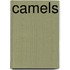Camels