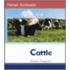 Cattle