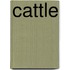Cattle