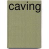 Caving door Maeve T. Sisk