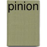 Pinion door Jay Lake