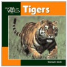 Tigers door Gwenyth Swain