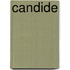 Candide