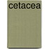 Cetacea