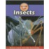 Insects