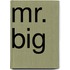 Mr. Big
