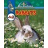 Rabbits