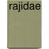 Rajidae