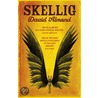 Skellig door John Catron