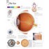 The Eye