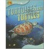 Turtles