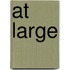 At Large
