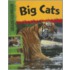 Big Cats