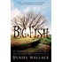 Big Fish