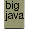 Big Java by Cay S. Horstmann