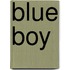 Blue Boy