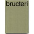 Bructeri