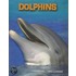 Dolphins