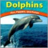 Dolphins