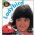 Ladybird